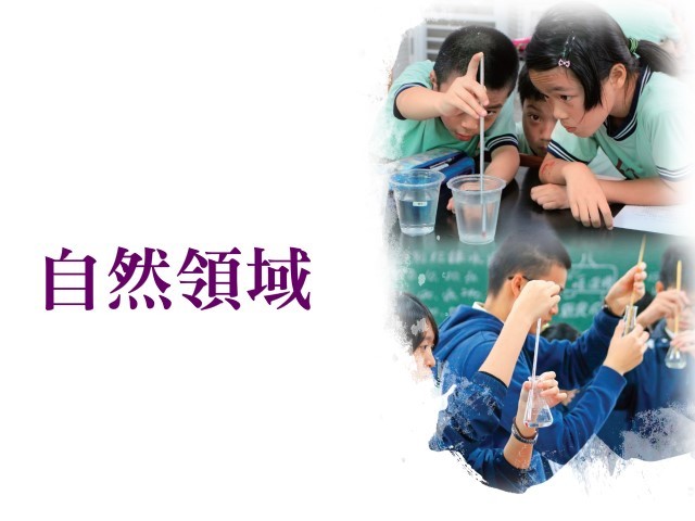 自然領域